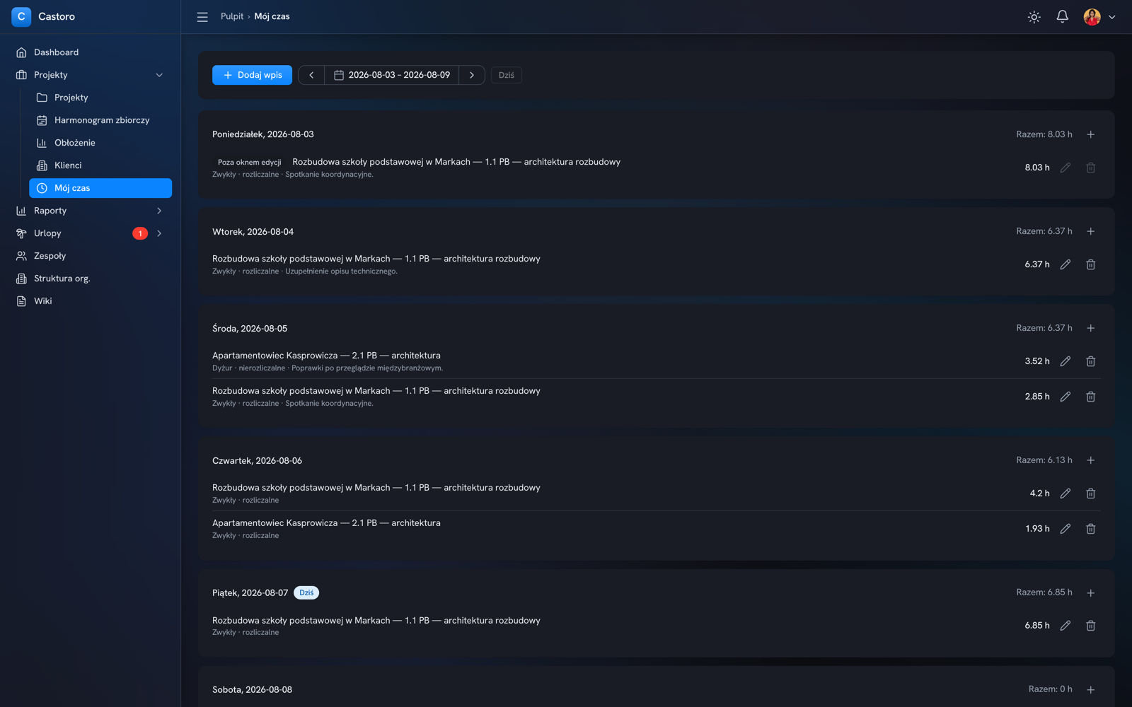 Zrzut ekranu ewidencji czasu pracy w Castoro z godzinami wpisanymi przy projektach